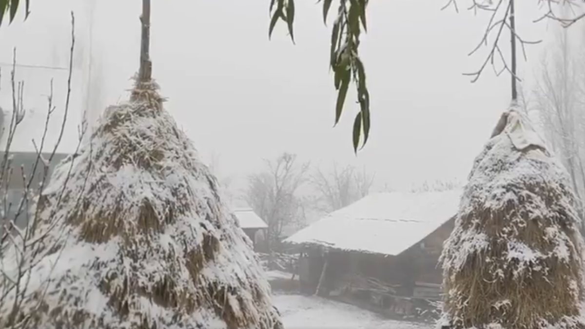 snowfall in jammu-1-2-3-4-5-6-7