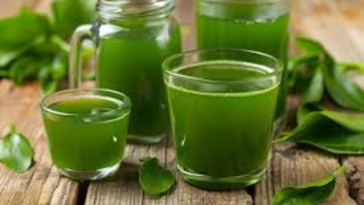 Giloy Juice Benefits