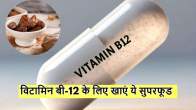 vitamin b12 foods