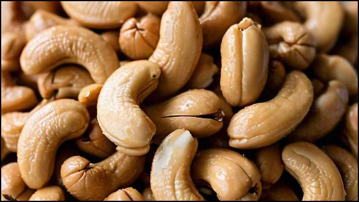 Cashew Benefits: सर्दी-जुकाम से लेकर रूखी-बेजान त्वचा से मिलेगा छुटकारा! रोजाना खाएं काजू
