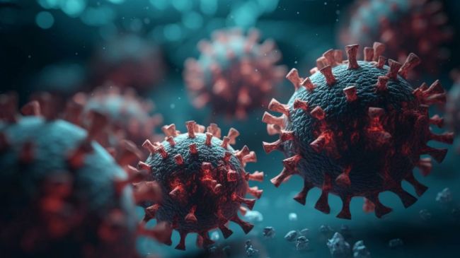 Noida News, Noida Covid, Noida Corona Virus, नोएडा न्यूज, नोएडा कोविड, नोएडा कोरोना वायरस केस