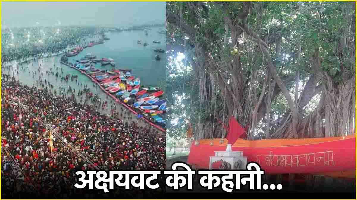 Akshayavat Tree Prayagraj Maha Kumbh