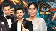 Bigg Boss 18 Avinash Mishra Eisha Singh Vivian Dsena