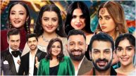 Bigg Boss 18 contestants