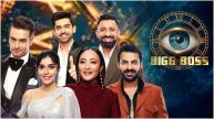 Bigg Boss 18 Contestants