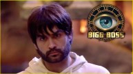 Bigg Boss 18 Vivian Dsena