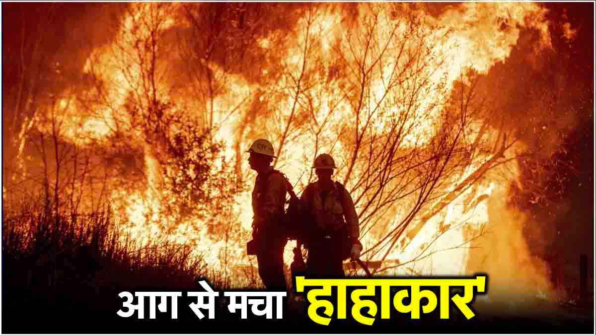 80 घंटे बाद भी क्यों नहीं बुझी कैलिफोर्निया की आग? क्या हॉलीवुड जलकर हो जाएगा खाक?