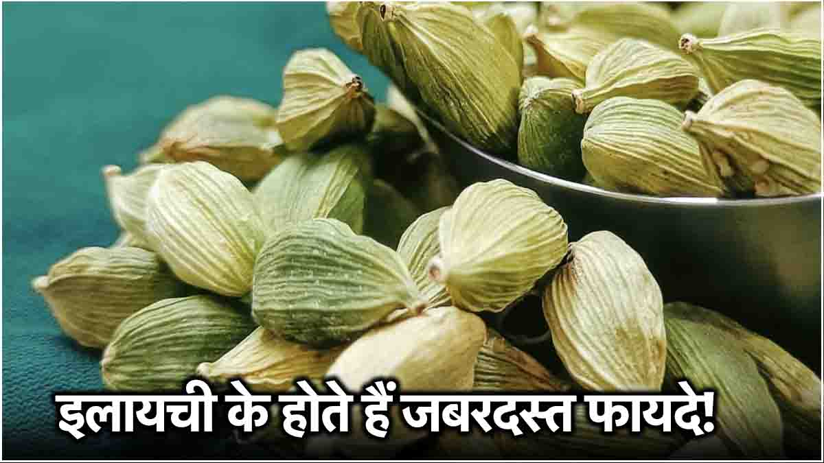 Cardamom Benefits