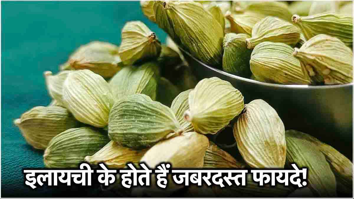 Cardamom Benefits: 21 रातों तक इस तरह करें इलायची का सेवन, फिर देखें कमाल