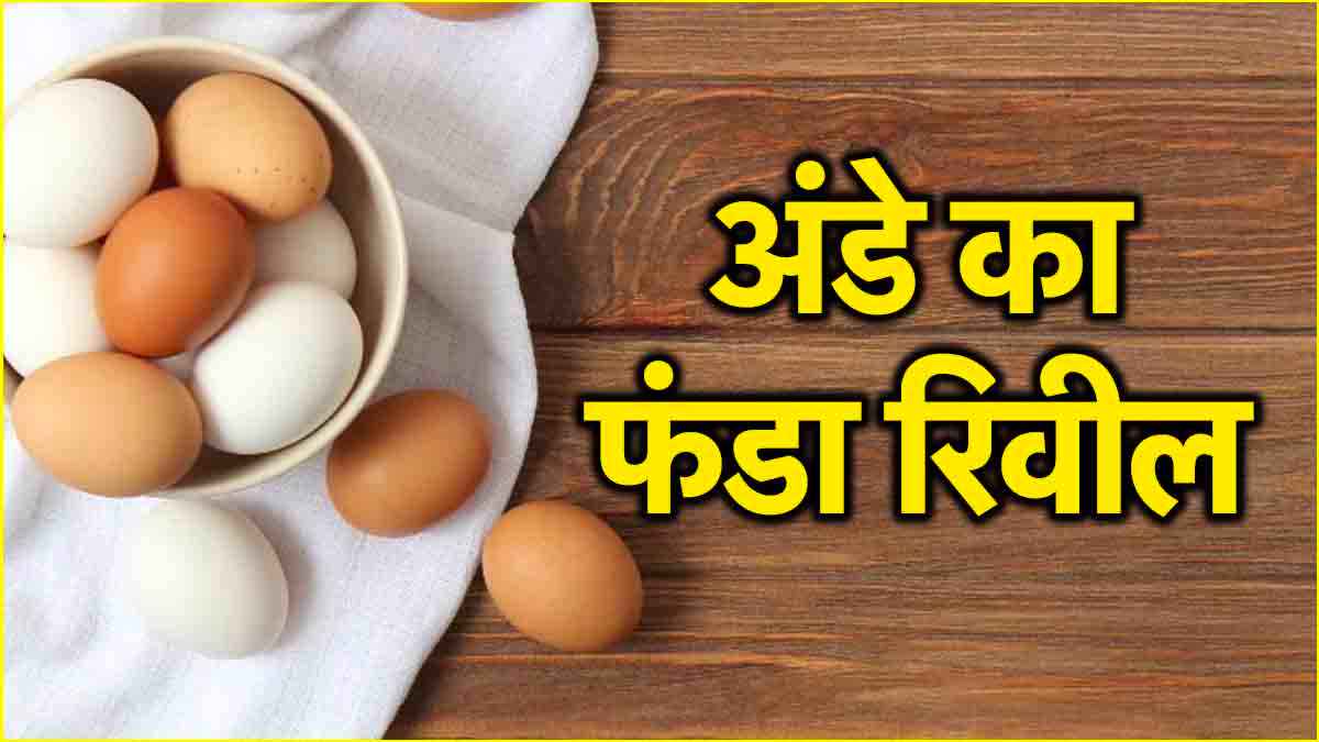 Eggs Side Effects: किन लोगों को नहीं खाने चाहिए अंडे? किन बीमारियों का बढ़ता रिस्क