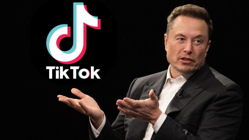 Elon Musk TikTok Acquisition