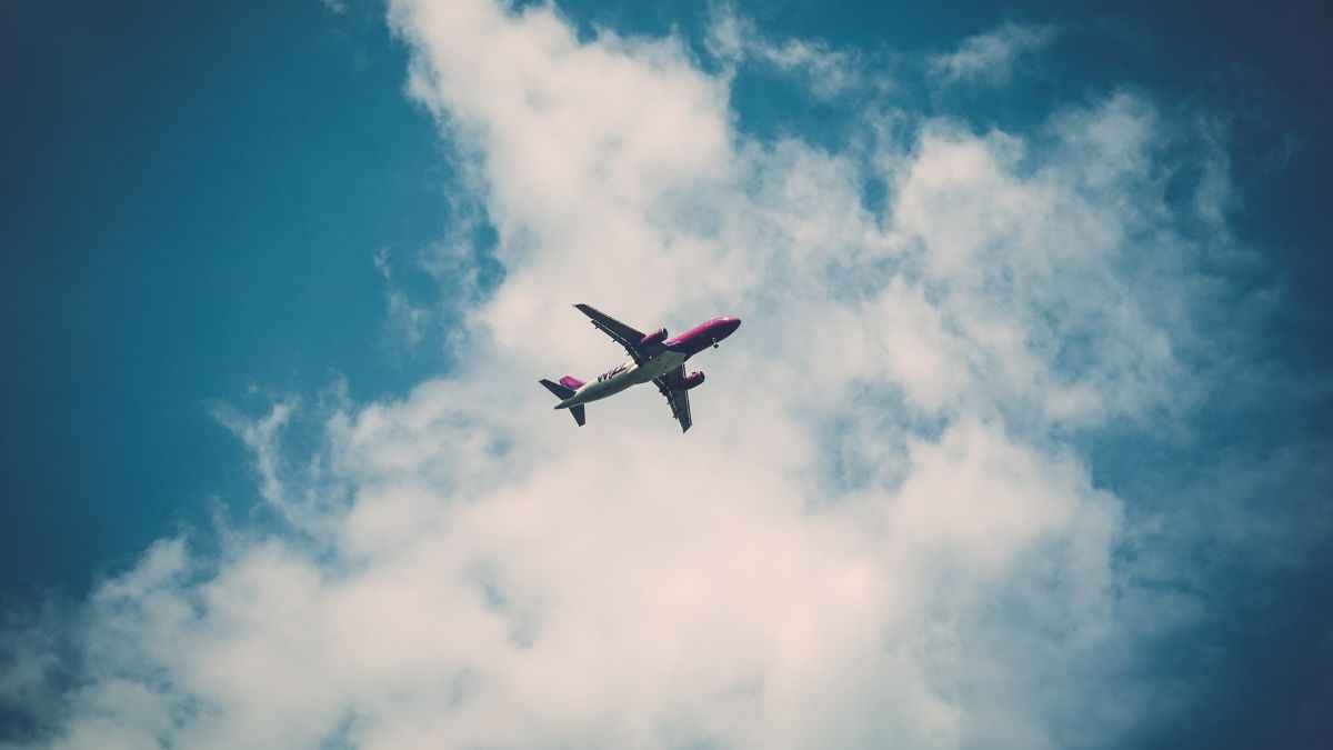 Flight