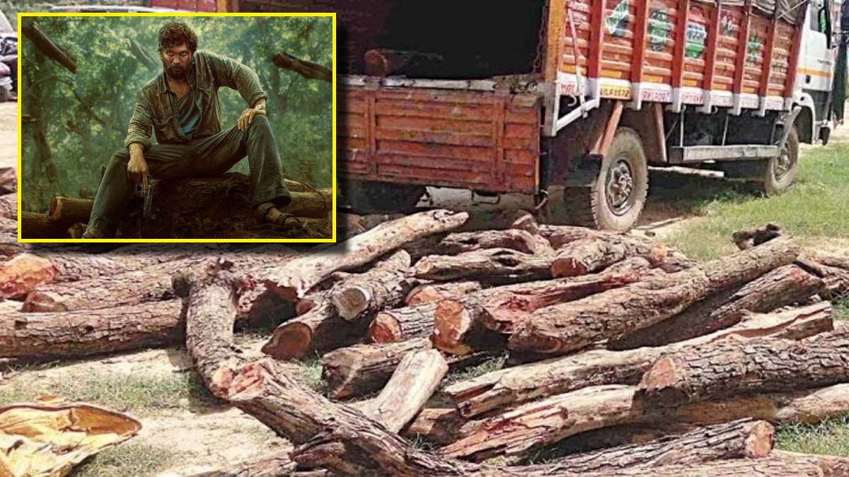 Gujarat Khair Wood Smuggling in 'Pushpa' Style