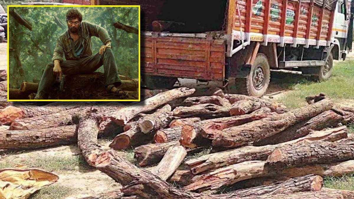 Gujarat Khair Wood Smuggling in 'Pushpa' Style Gujarat Khair Wood Smuggling in 'Pushpa' Style