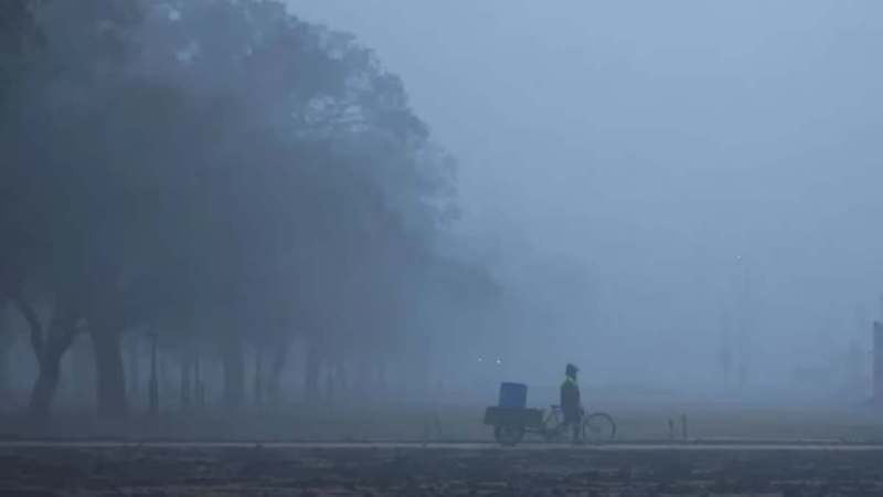 Gujarat Weather Update (35)