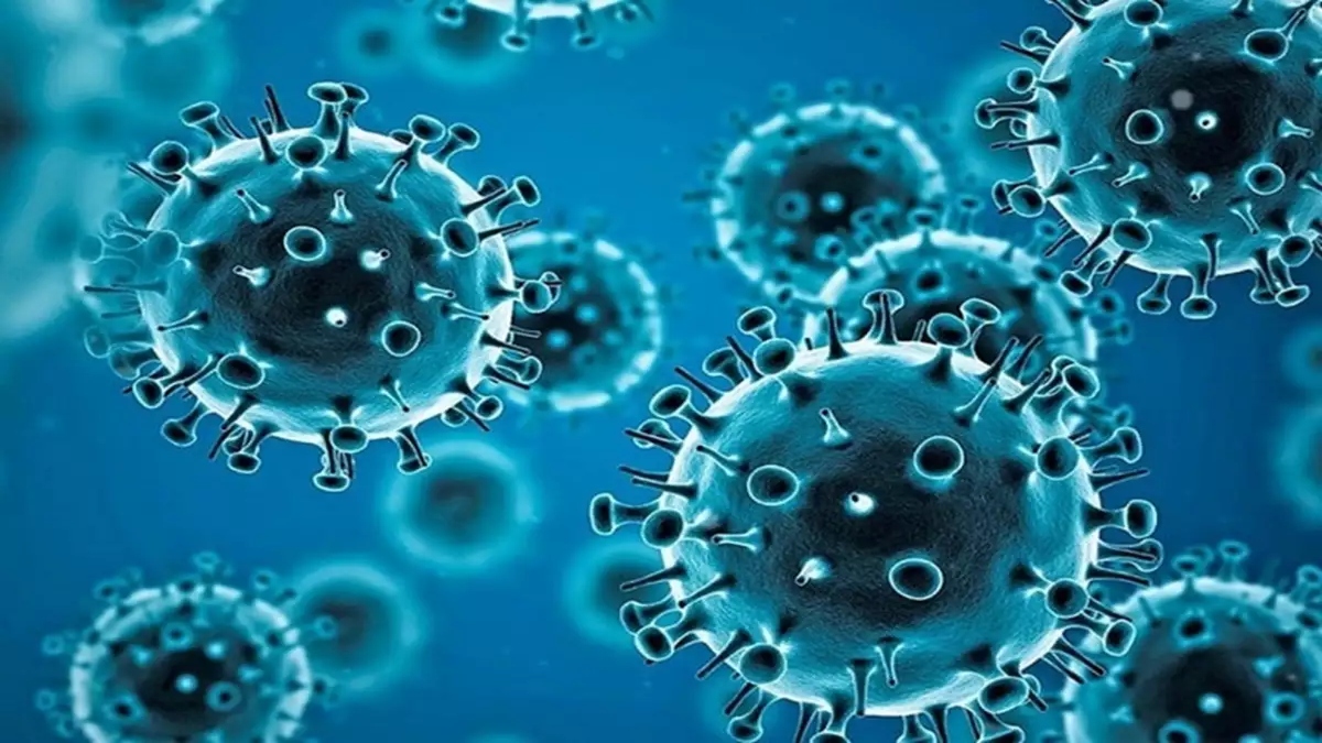 HMPV Virus in India