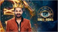 Bigg Boss 18 winner Karanveer Mehra