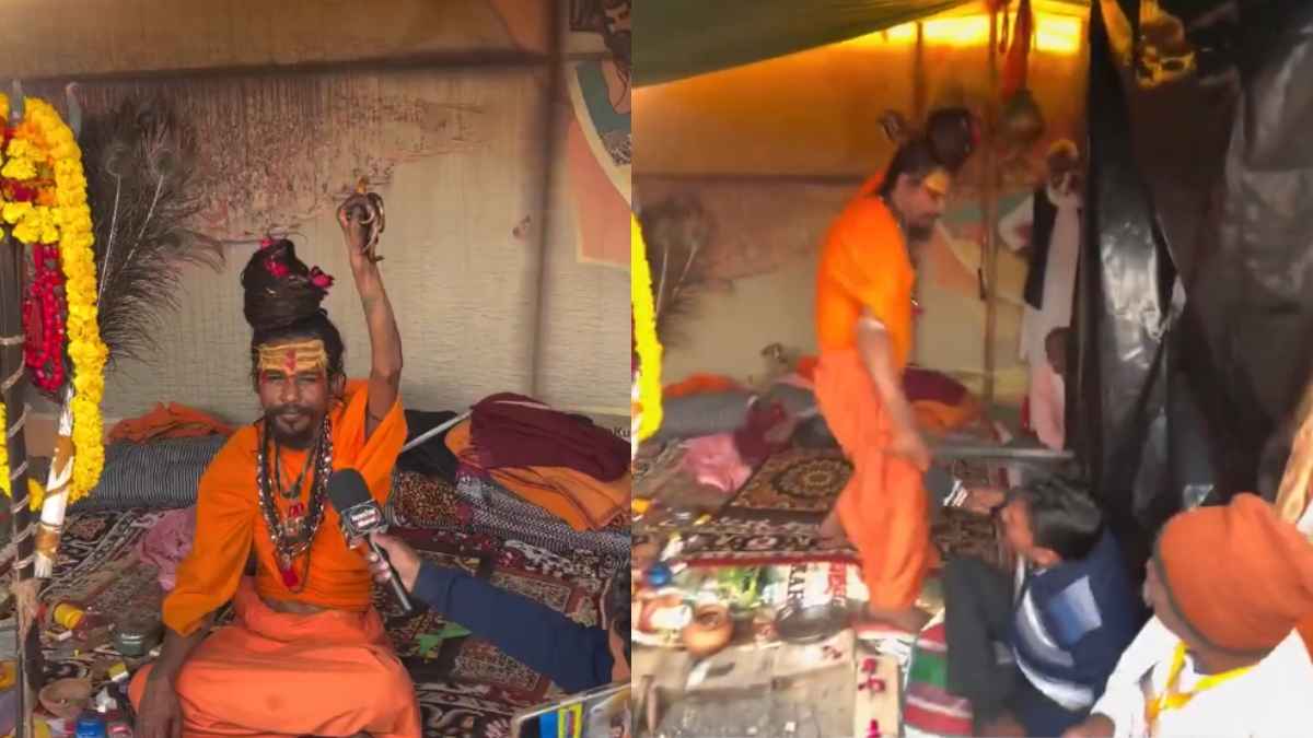 Kumbh Viral Video