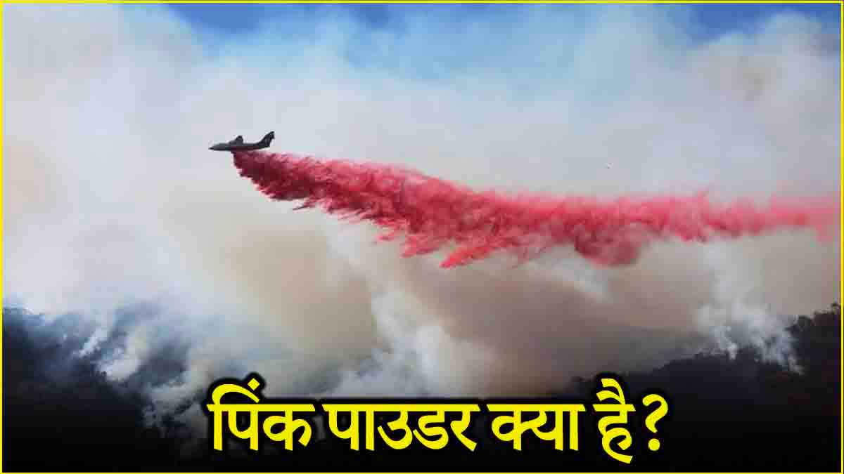 लॉस एंजिलिस के जंगलों की आग बुझाएगा पिंक पाउडर! जानें क्या है विमान से गिरने वाला ये गुलाबी मिक्चर