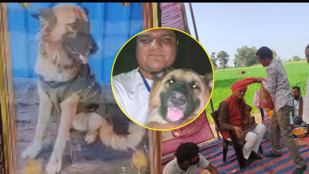 MP rajgarh Man On Pet Dog Death Arranges Funeral