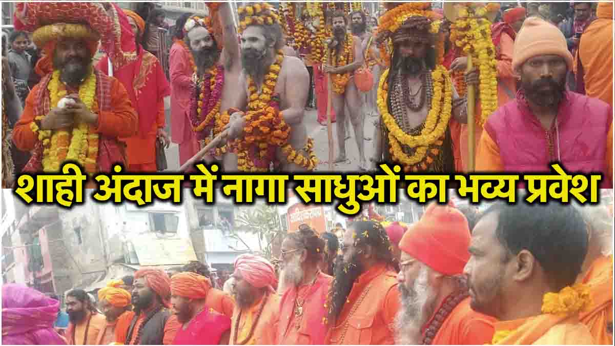 Maha Kumbh 2025 Grand entry of Shri Panchayati Anand Akhara riding on elephant horse camel Naga Sadhu came in royal style