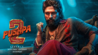 pushpa 2 the rule ott release users angry not streaming hindi version