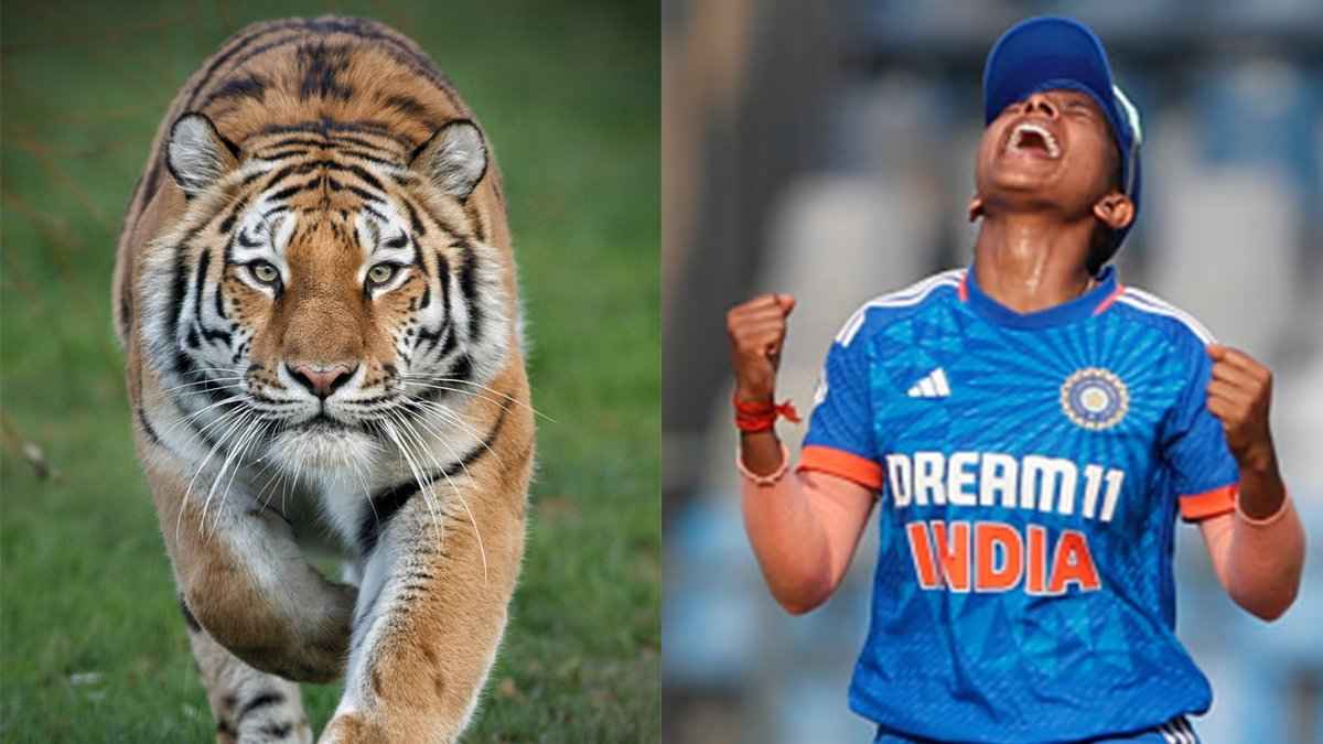 Minnu Mani Tiger Attack