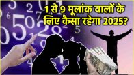 Numerology 2025 predictions by date of birth Ank Jyotish