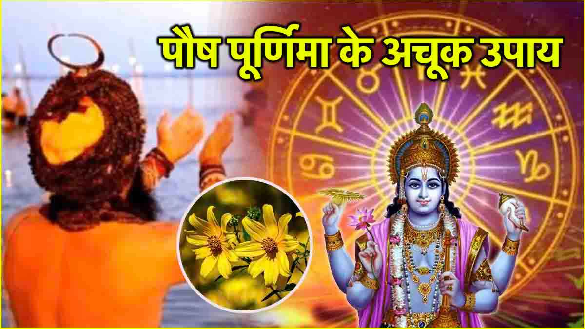 Paush Purnima पर 12 राशियों के दूर होंगे सभी दुख-दर्द! करें ये उपाय