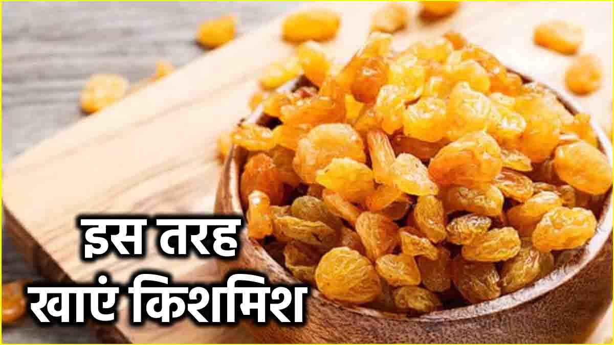 Kishmish Benefits: रोज भीगी हुई किशमिश खाने के होते हैं 5 फायदे, जानें दिन में कितनी खाएं  