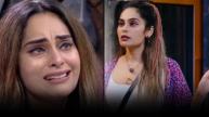 Shrutika Arjun Eviction