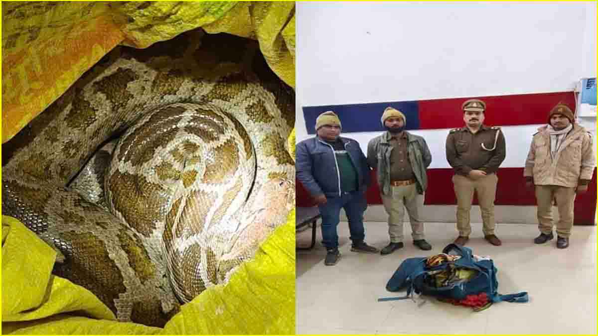 चंदौली रेलवे स्टेशन पर दिखे 5-6 फीट लंबे 4 सांप, बोरे को हिलते देख कांप गए GRP के जवान