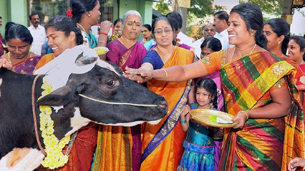 Tamil Nadu's Pongal