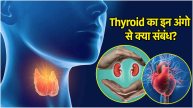 Thyroid Symptoms