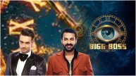 bigg boss 18 finale karanveer mehra vivian dsena top 2 live voting salman khan