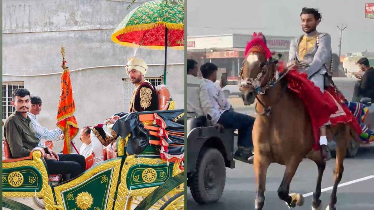 अनोखी शादियां! बारात के साथ 100 घुड़सवार, सड़क पर नोटों की बारिश, देखिए वीडियो