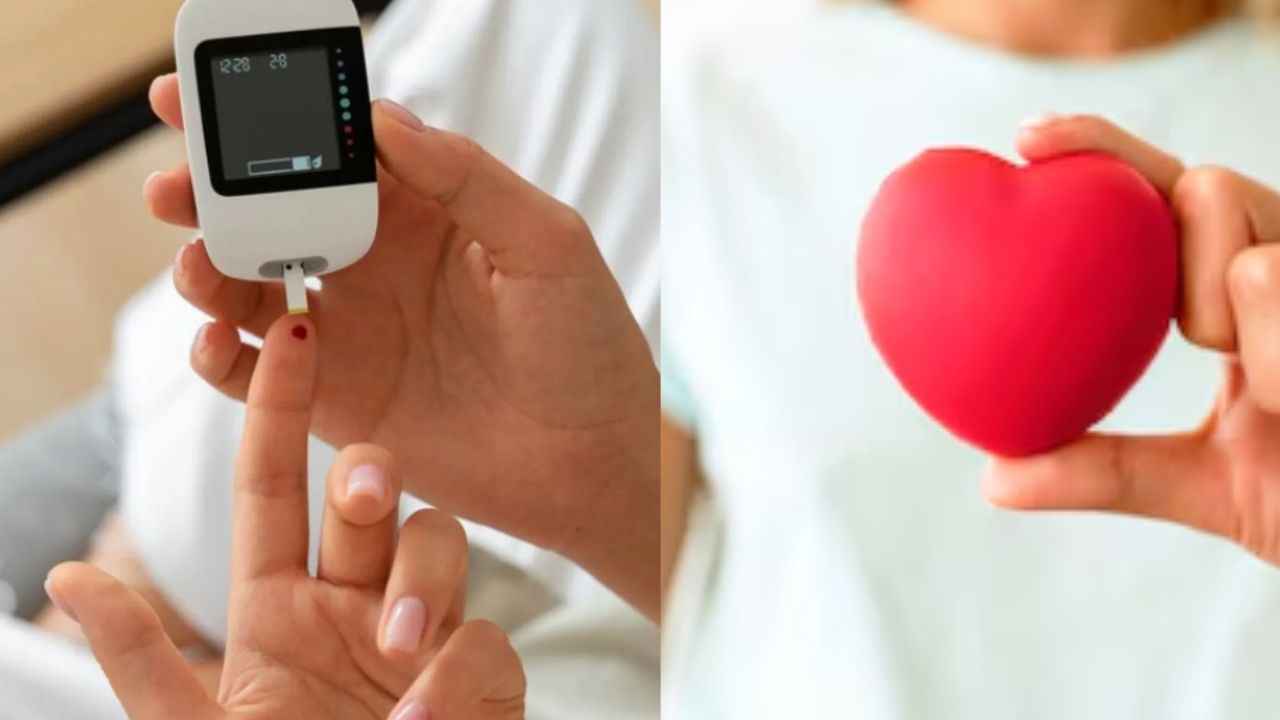 Heart Disease: किन लोगों को दिल की बीमारियों का ज्यादा खतरा? कैसे रखें बचाव