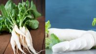 Radish Leaves Benefits