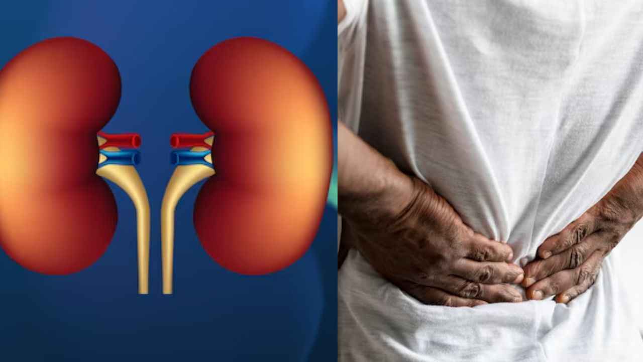 Kidney Failure Symptoms: किडनी खराब होने के होते हैं ये 5 संकेत, जानें कैसे करें बचाव