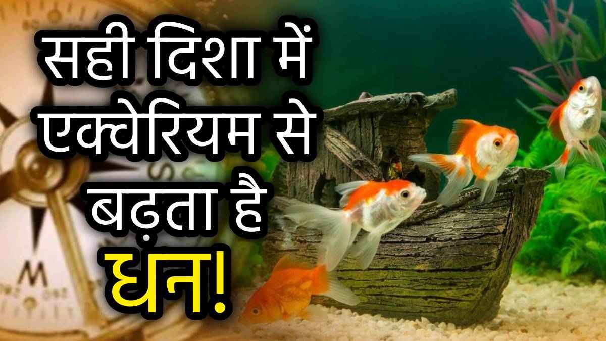Vastu Shastra: सावधान! कहीं आपने भी तो नहीं रखा है इस दिशा में फिश एक्वेरियम, कंगाल होते नहीं लगेगी देर!