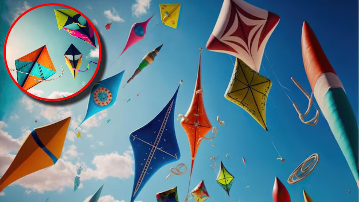 international Kite Festival in Ahmedabad