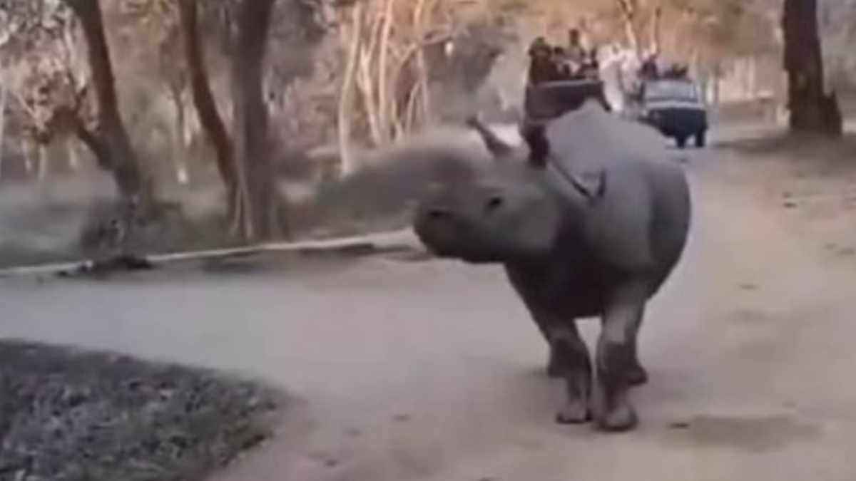 kaziranga national park