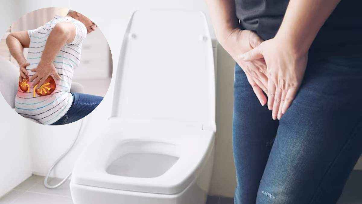 पेशाब रोकने से 5 गंभीर बीमारियों का खतरा? जानें हेल्थ एक्सपर्ट से ये कितना खतरनाक