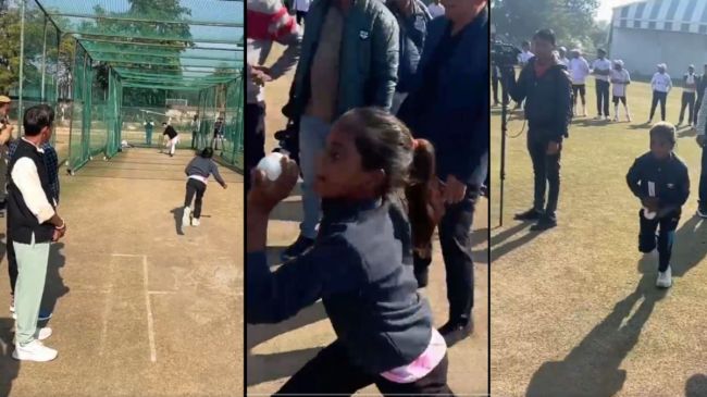 sushila meena sushila meena