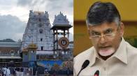 tirupati temple cm chandrababu naidu