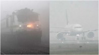 Train Flights Fog Impact