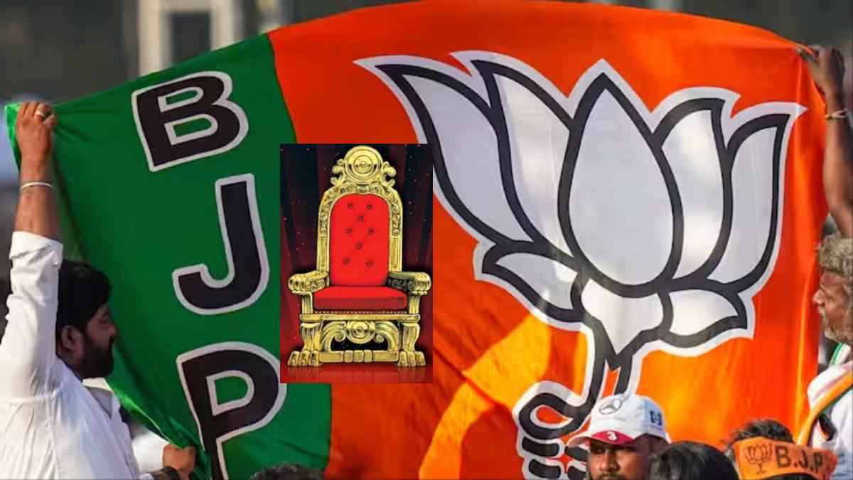 बीजेपी (1)