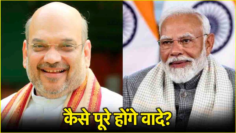 Delhi BJP PM Modi - Amit Shah