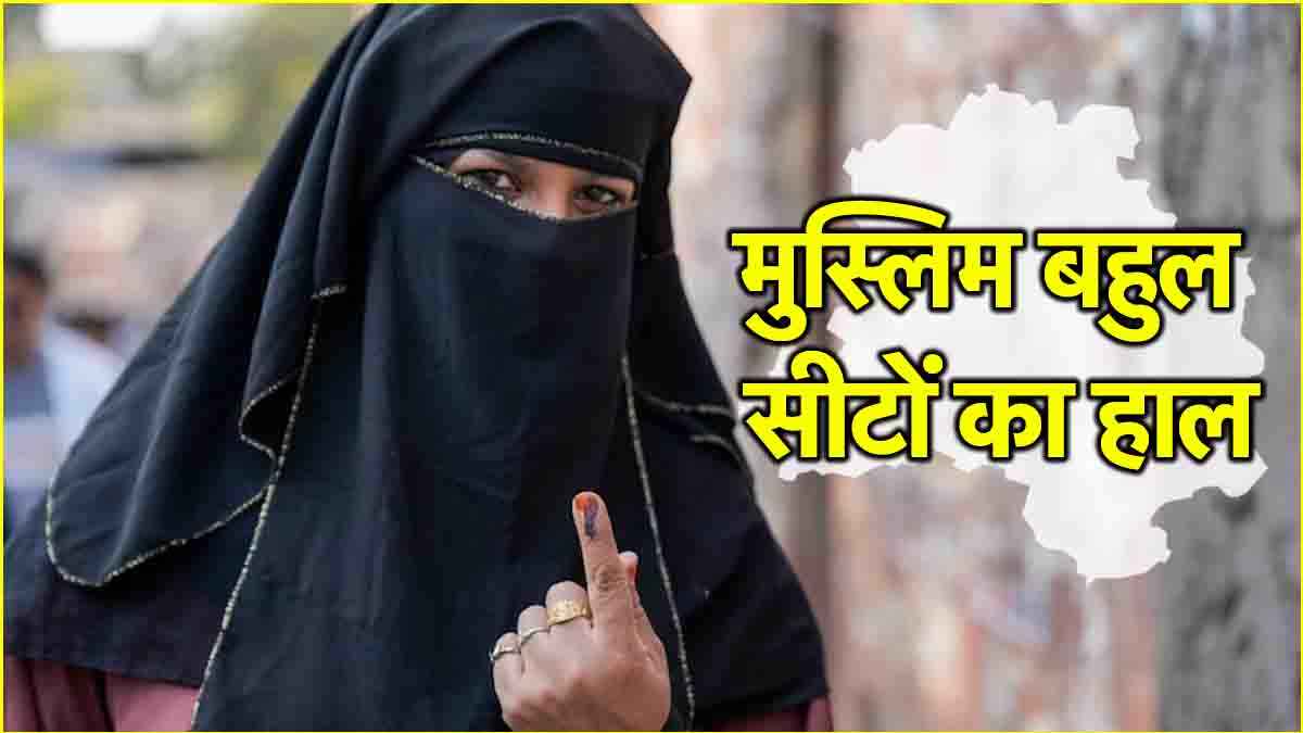 Delhi Elections: कई मुस्लिम बहुल सीटों पर BJP आगे, AAP के अमानतुल्लाह ओखला से पिछड़े