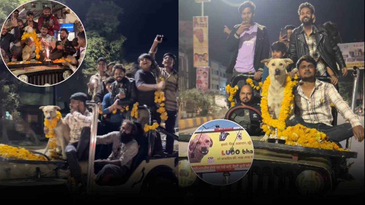 डॉगी के बर्थडे पर पानी की तरह बहाया पैसा, इतना बड़ा होर्डिंग...ये सेलिब्रेशन कैसा?